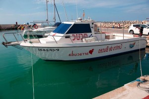 catamaran barracuda columbretes bucear